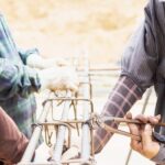 Micropiloții ca soluție de reabilitare a construcțiilor vechi