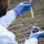 Cum se realizează o probă nedisturbată și ce informații oferă