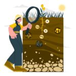 Cum influențează tipul de sol alegerea fundației unei clădiri